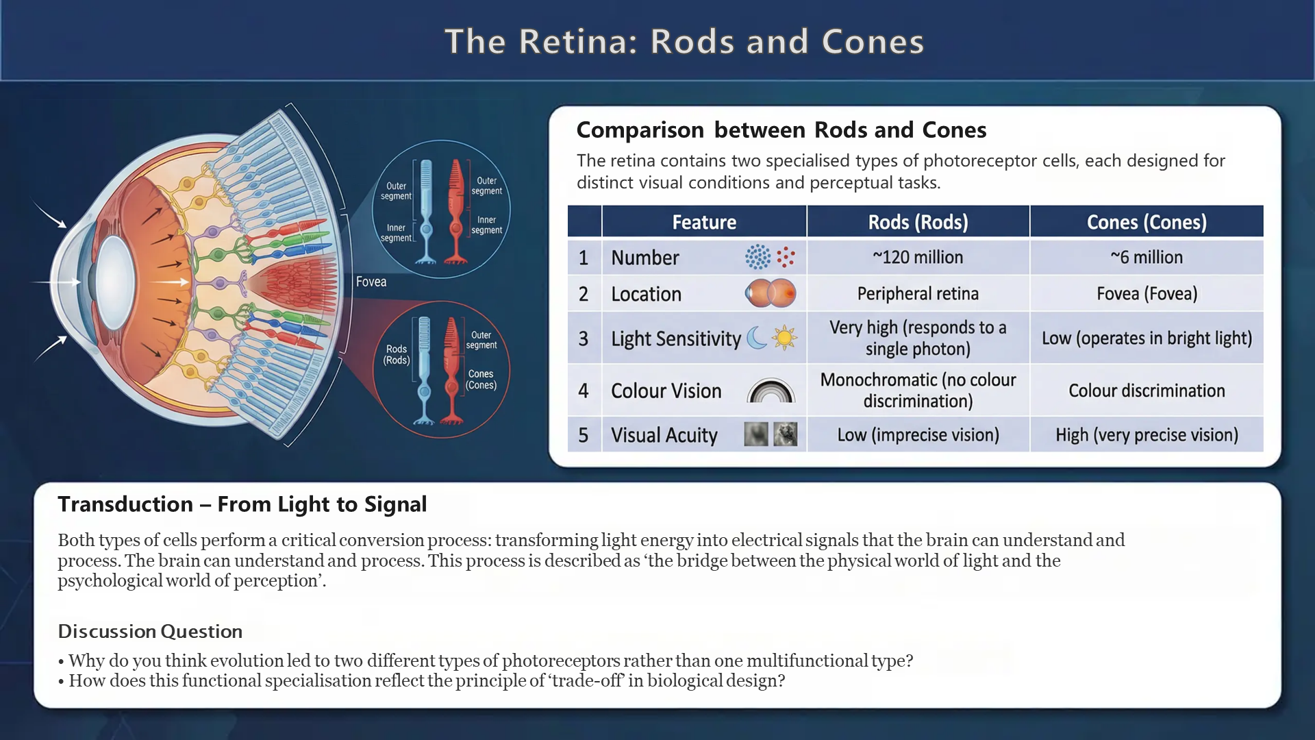 Slide 9