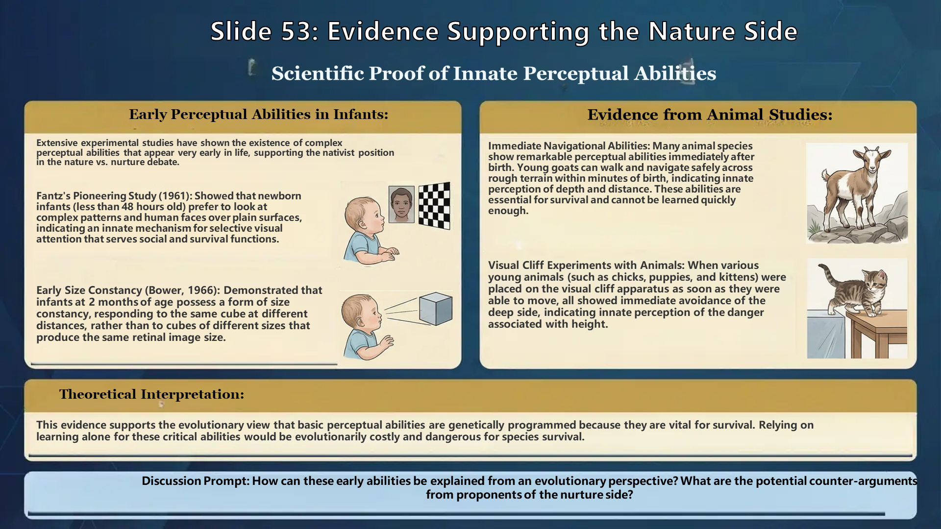Slide 53