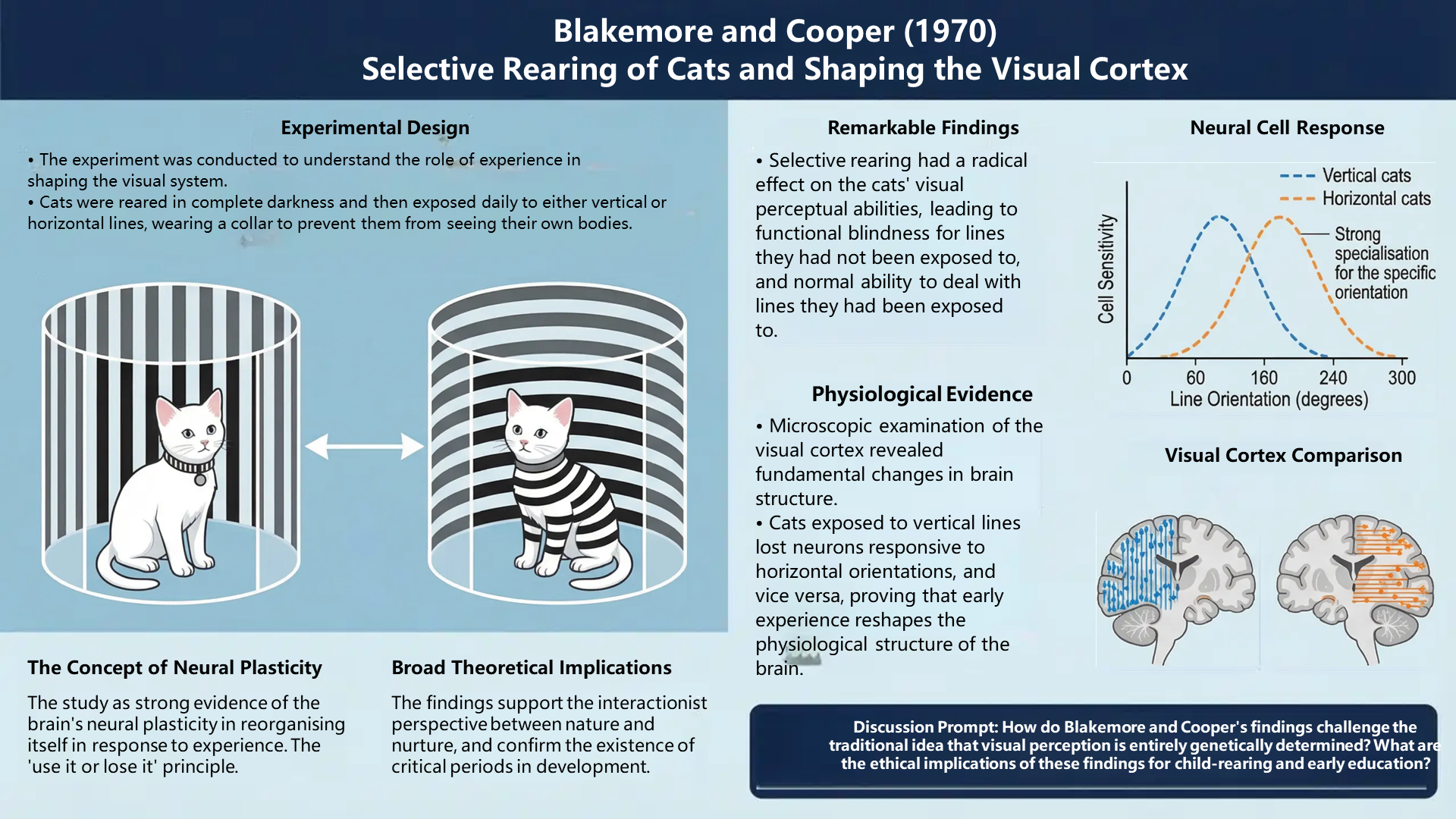Slide 58